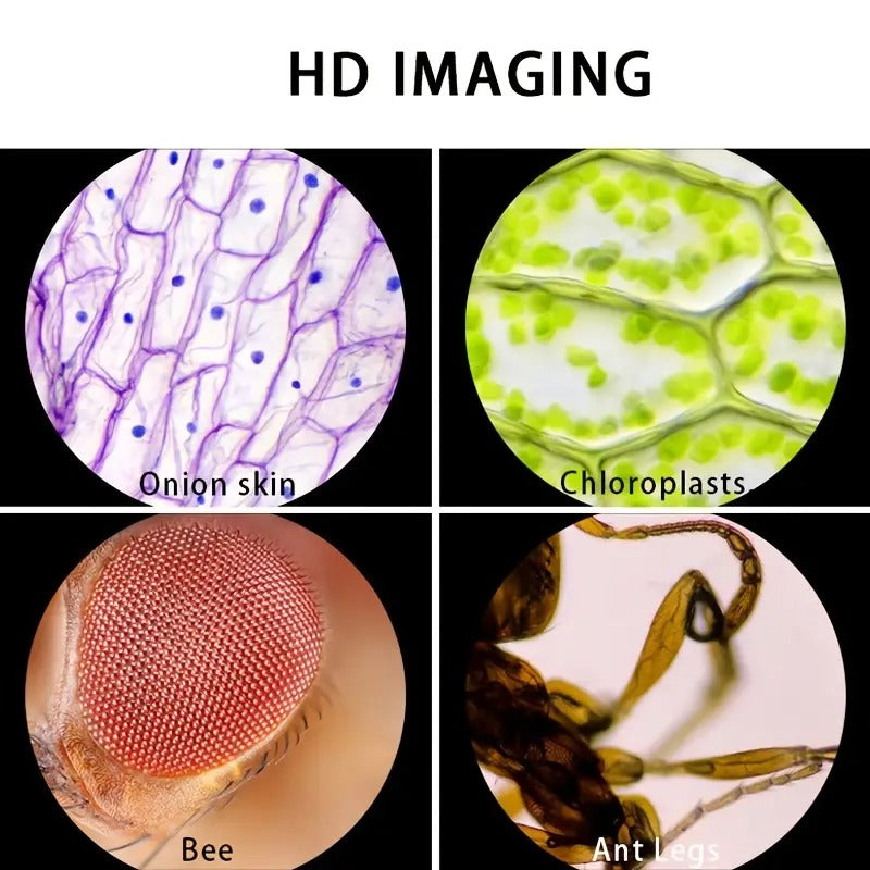 Handheld Microscope Set with LED Light 60X-120X