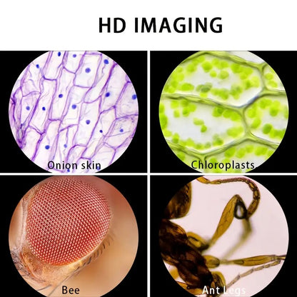 Handheld Microscope Set with LED Light 60X-120X
